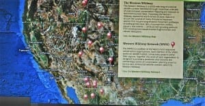 Protect America’s Wildlife Corridors!